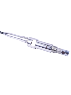>Raman Rxn-30 probe