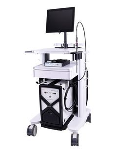>Raman Rxn2 mobile cart